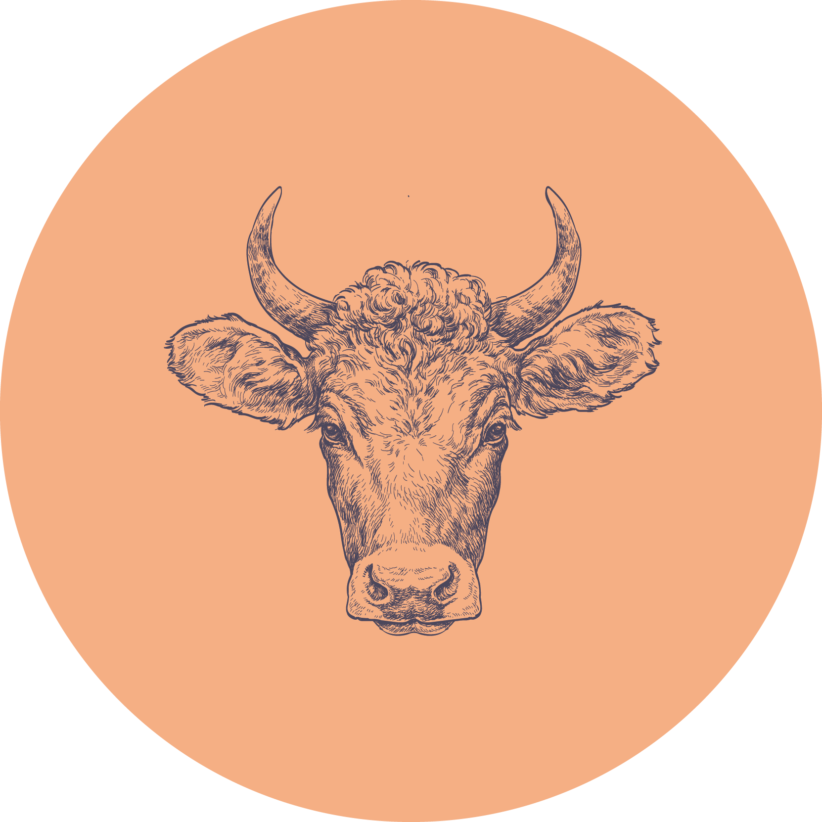 other-events-willow-grange-farm-farm-shop-and-cafe-cambridgeshire